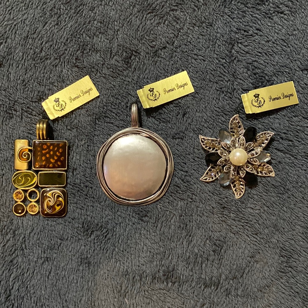 New Premier Designs necklace pendants and pin.